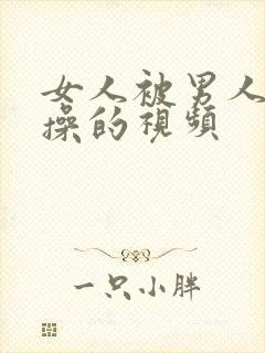 女人被男人使劲操的视频