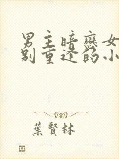 男主暗恋女主久别重逢的小说