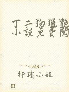 丁二狗猎艳人生小说免费阅读