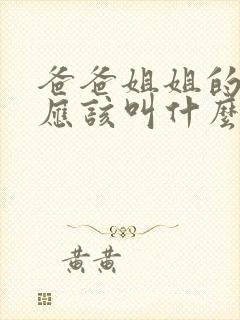 爸爸姐姐的儿子应该叫什么封面