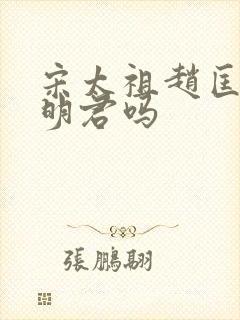 宋太祖赵匡胤是明君吗