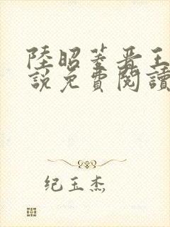 陆昭菱晋王的小说免费阅读