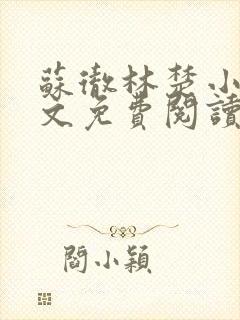 苏彻林楚小说全文免费阅读