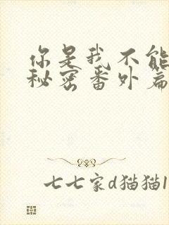 你是我不能说的秘密番外篇两年后