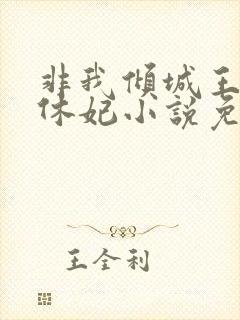 非我倾城王爷要休妃小说免费阅读