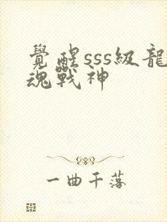 觉醒sss级龙魂战神