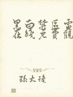 黑白禁区电视剧在线免费观看全集