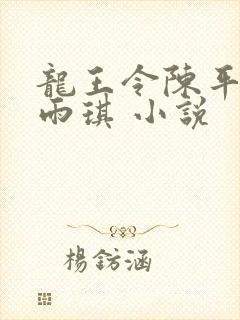 龙王令陈平,苏雨琪 小说