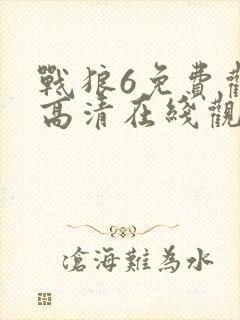 战狼6免费观看高清在线观看国语版