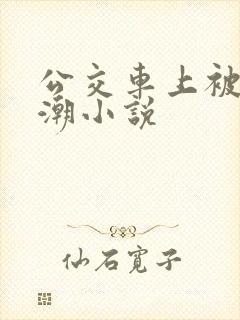 公交车上被摸高潮小说