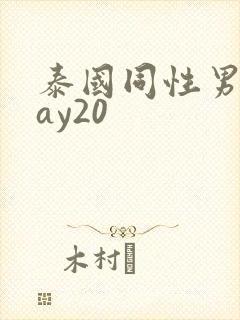 泰国同性男男gay20