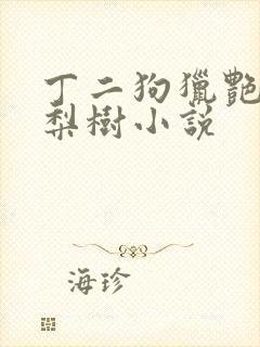 丁二狗猎艳人生梨树小说封面