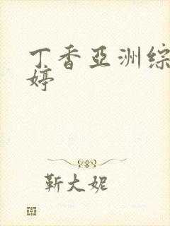 丁香亚洲综合婷婷