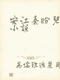 安江秦盼儿官场小说封面