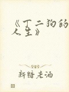 《丁二狗的逆袭人生》