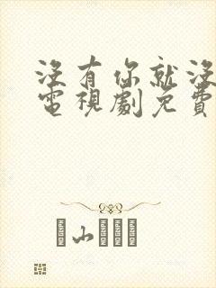 没有你就没有家电视剧免费观看