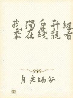 我独自升级第二季在线观看免费