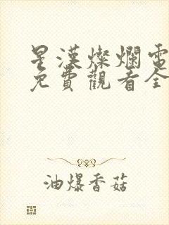 星汉灿烂电视剧免费观看全集