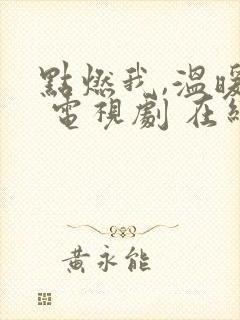 点燃我,温暖你 电视剧 在线观看