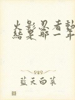 火影忍者动画完结是哪一年