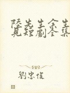 陆先生余生不再见短剧全集免费