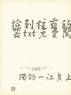 捡到校霸的遥控器txt免费阅读by阳阳