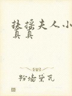 扶摇夫人小说柳真真封面