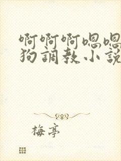 啊啊啊嗯嗯嗯母狗调教小说