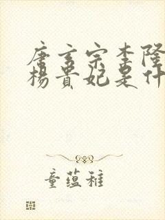 唐玄宗李隆基和杨贵妃是什么关系