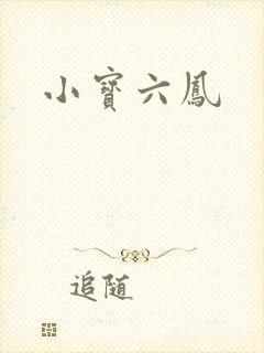 小宝六凤