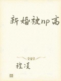 新婚被np高h
