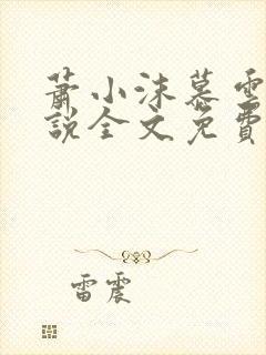 萧小沫慕云昭小说全文免费阅读