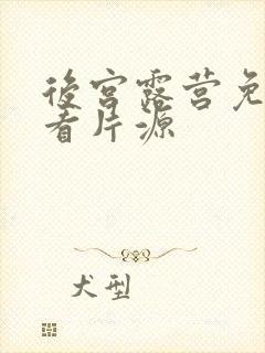 后宫露营免费观看片源