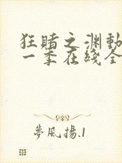 狂赌之渊动漫第一季在线全集免费观看