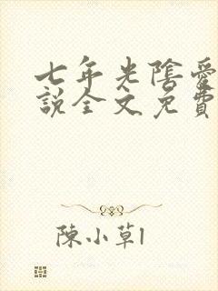 七年光阴爱恨小说全文免费阅读