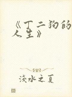 《丁二狗的逍遥人生》