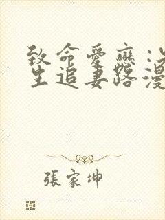 致命爱恋 :先生追妻路漫漫封面