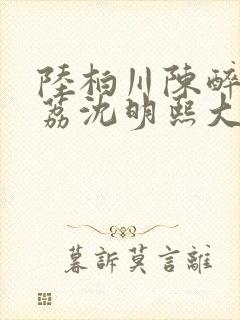 陆柏川陈醉许佳荔沈明熙大结局