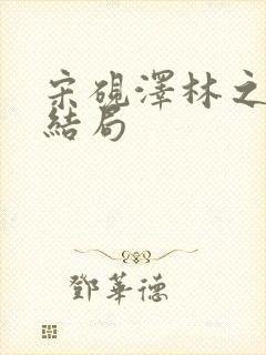 宋砚泽林之意大结局封面