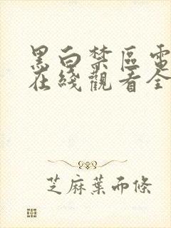 黑白禁区电视剧在线观看全集免费