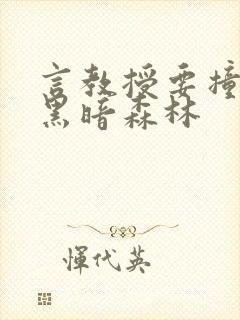 言教授要撞坏了黑暗森林封面