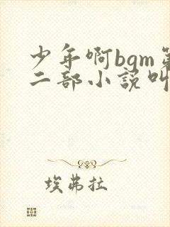 少年啊bgm第二部小说叫什么