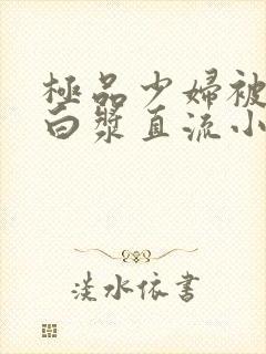 极品少妇被猛得白浆直流小说