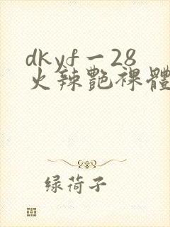dkyf一28火辣艳裸体写真