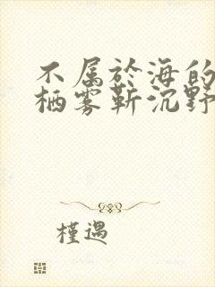 不属于海的风唐栖雾靳沉野在线阅读封面