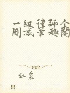 一级律师全文无删减笔趣阁封面