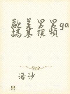 欧美男男gay搞基视频