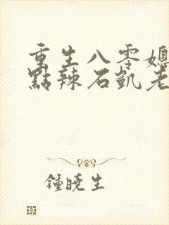 重生八零媳妇有点辣石凯老婆结局