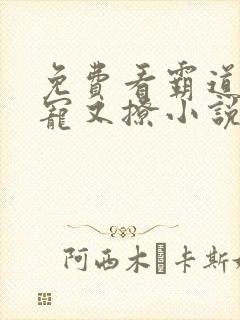 免费看霸道爹地宠又撩小说封面