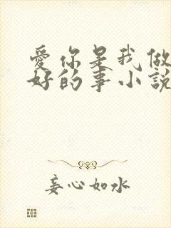 爱你是我做过最好的事小说全文免费阅读